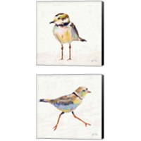 Framed 'Coastal Plover Linen 2 Piece Canvas Print Set' border=