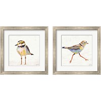 Framed 'Coastal Plover Linen 2 Piece Framed Art Print Set' border=