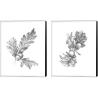 Framed 'Oak Leaf Pencil Sketch 2 Piece Canvas Print Set' border=