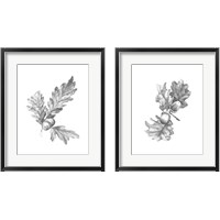 Framed 'Oak Leaf Pencil Sketch 2 Piece Framed Art Print Set' border=