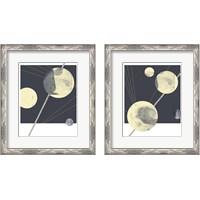 Framed 'Planetary Weights 2 Piece Framed Art Print Set' border=