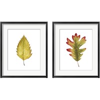Framed 'Fall Leaf Study 2 Piece Framed Art Print Set' border=