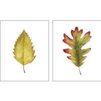 Framed 'Fall Leaf Study 2 Piece Art Print Set' border=