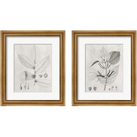 Framed 'Vintage Leaves 2 Piece Framed Art Print Set' border=