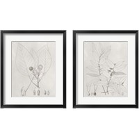 Framed 'Vintage Leaves 2 Piece Framed Art Print Set' border=