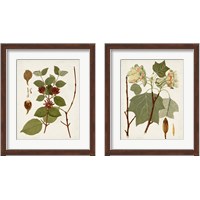 Framed 'Antique Leaves 2 Piece Framed Art Print Set' border=