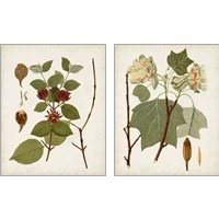 Framed 'Antique Leaves 2 Piece Art Print Set' border=