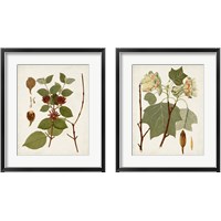 Framed 'Antique Leaves 2 Piece Framed Art Print Set' border=