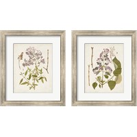 Framed 'Vintage Flowering Trees 2 Piece Framed Art Print Set' border=