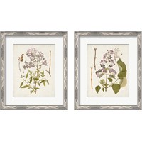 Framed 'Vintage Flowering Trees 2 Piece Framed Art Print Set' border=