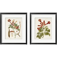 Framed 'Vintage Flowering Trees 2 Piece Framed Art Print Set' border=