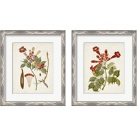 Framed 'Vintage Flowering Trees 2 Piece Framed Art Print Set' border=