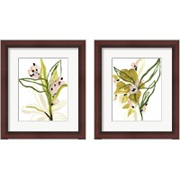 Framed 'Tropical Cadenza 2 Piece Framed Art Print Set' border=