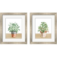 Framed 'Herb Garden 2 Piece Framed Art Print Set' border=