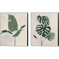 Framed 'Palm Botanical 2 Piece Canvas Print Set' border=