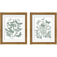 Framed 'Butterfly Bouquet Sage 2 Piece Framed Art Print Set' border=