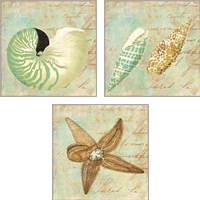 Framed 'Sea Life 3 Piece Art Print Set' border=