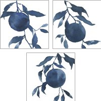 Framed 'Indigo Oranges 3 Piece Art Print Set' border=