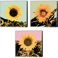 Framed 'Pop Art Sunflower 3 Piece Canvas Print Set' border=