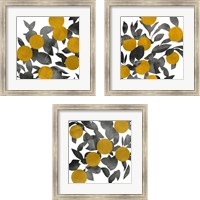 Framed 'Shadow Branch 3 Piece Framed Art Print Set' border=