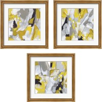 Framed 'Citron Confetti 3 Piece Framed Art Print Set' border=