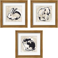 Framed 'Antique Rabbit 3 Piece Framed Art Print Set' border=