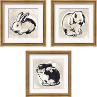 Framed 'Antique Rabbit 3 Piece Framed Art Print Set' border=