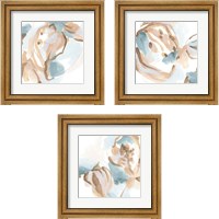 Framed 'Abstracted Shells 3 Piece Framed Art Print Set' border=