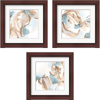 Framed 'Abstracted Shells 3 Piece Framed Art Print Set' border=