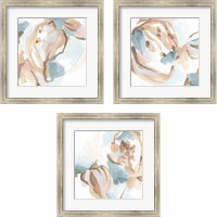 Framed 'Abstracted Shells 3 Piece Framed Art Print Set' border=