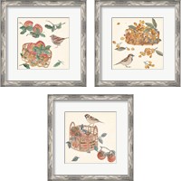 Framed 'Basket with Fruit3 Piece Framed Art Print Set' border=