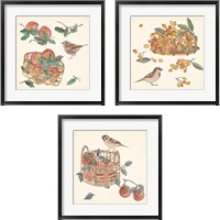 Framed 'Basket with Fruit3 Piece Framed Art Print Set' border=