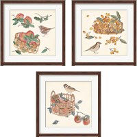 Framed 'Basket with Fruit3 Piece Framed Art Print Set' border=