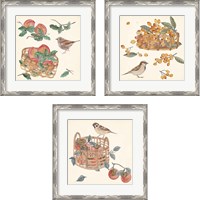 Framed 'Basket with Fruit3 Piece Framed Art Print Set' border=