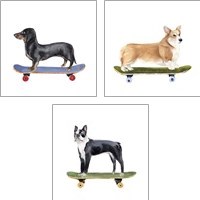 Framed 'Pups on Wheels 3 Piece Art Print Set' border=