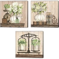 Framed 'Farmhouse Finds 3 Piece Canvas Print Set' border=