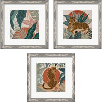 Framed 'Big Cat Beauty 3 Piece Framed Art Print Set' border=