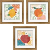 Framed 'Fruit Frenzy 3 Piece Framed Art Print Set' border=