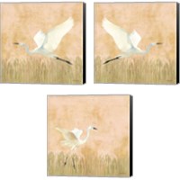 Framed 'Egret Alighting 3 Piece Canvas Print Set' border=