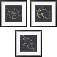 Framed 'Gold Sea Life 3 Piece Framed Art Print Set' border=