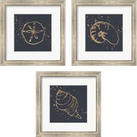 Framed 'Gold Sea Life 3 Piece Framed Art Print Set' border=