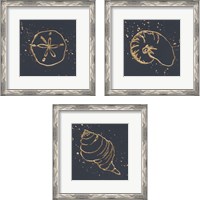 Framed 'Gold Sea Life 3 Piece Framed Art Print Set' border=