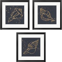 Framed 'Gold Conch 3 Piece Framed Art Print Set' border=