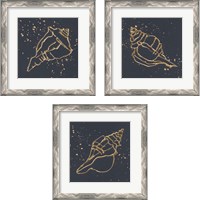 Framed 'Gold Conch 3 Piece Framed Art Print Set' border=