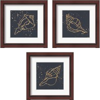 Framed 'Gold Conch 3 Piece Framed Art Print Set' border=