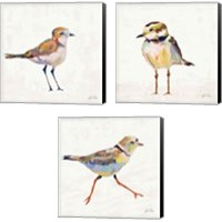 Framed 'Coastal Plover Linen 3 Piece Canvas Print Set' border=