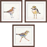 Framed 'Coastal Plover Linen 3 Piece Framed Art Print Set' border=