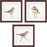 Framed 'Coastal Plover Linen 3 Piece Framed Art Print Set' border=