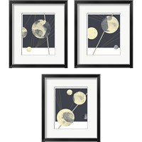 Framed 'Planetary Weights 3 Piece Framed Art Print Set' border=