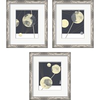 Framed 'Planetary Weights 3 Piece Framed Art Print Set' border=